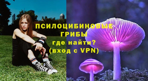 скорость Липки