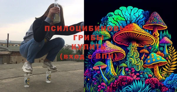 скорость Липки