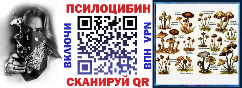Галлюциногенные грибы GOLDEN TEACHER  блэк спрут рабочий сайт  Елизаветинская  наркошоп 